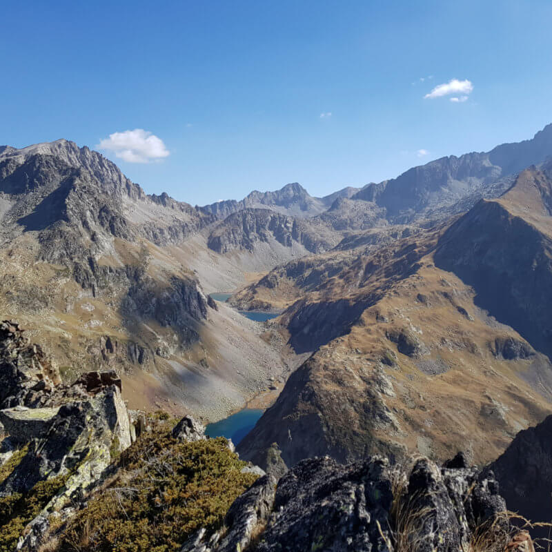 Chasse Isard / Cerf / Mouflon dans les Pyrénées