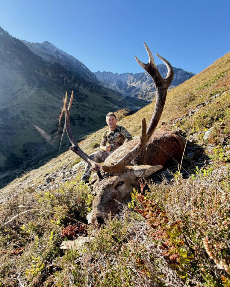 sejour chasse hautes pyrenees - Séjours chasse